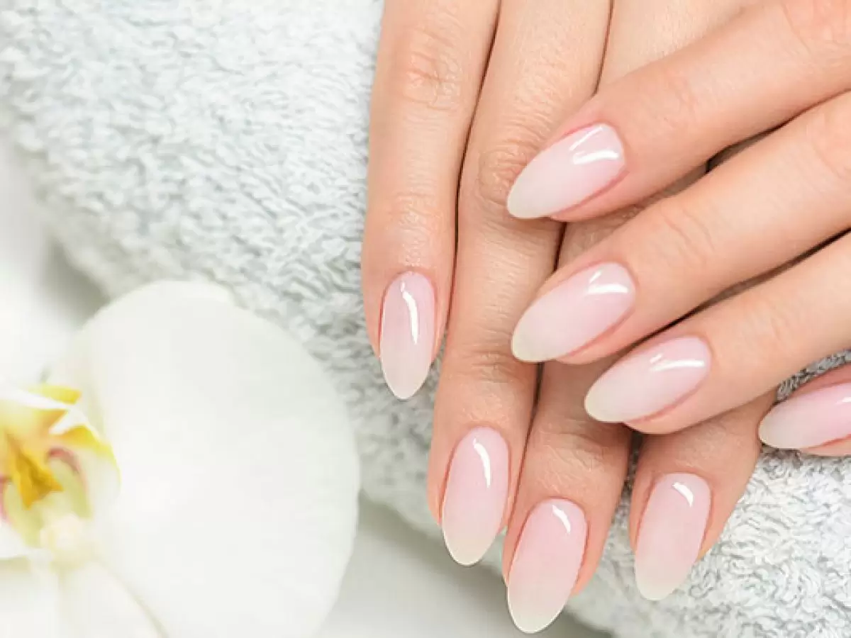 Niksar Protez Tırnak